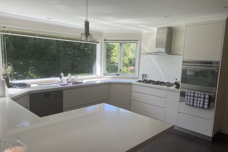 Photo of property in 111 Hastings Road, Pyes Pa, Tauranga, 3112