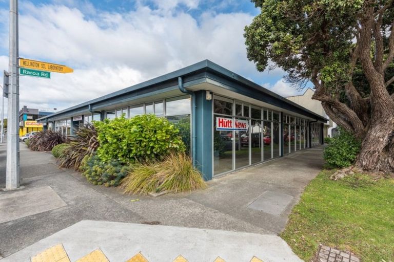 Photo of property in 22 Raroa Road, Kelburn, Wellington, 6012