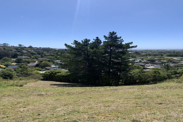 Photo of property in 17 Stronsay Lane, Hillsborough, Christchurch, 8022