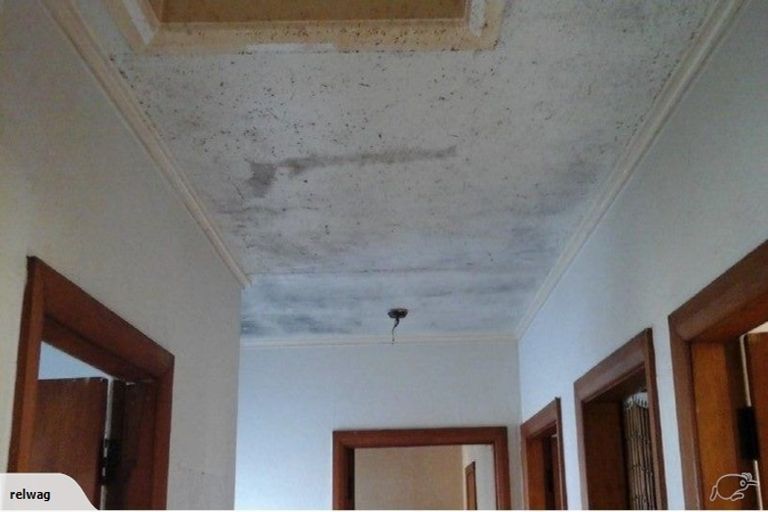 Photo of property in 60 Saint Andrews Terrace, St Andrews, Hamilton, 3200