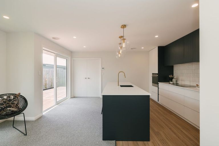 Photo of property in 427c Ruahine Street, Terrace End, Palmerston North, 4410
