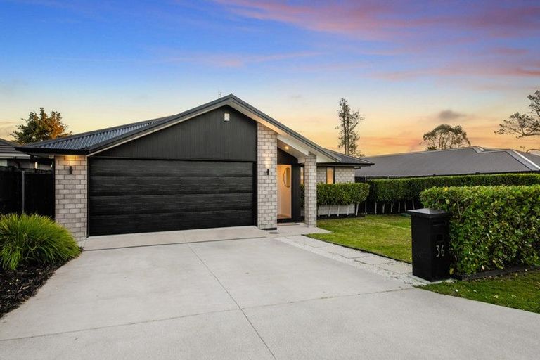 Photo of property in 36 Rapana Drive, Tuakau, 2121