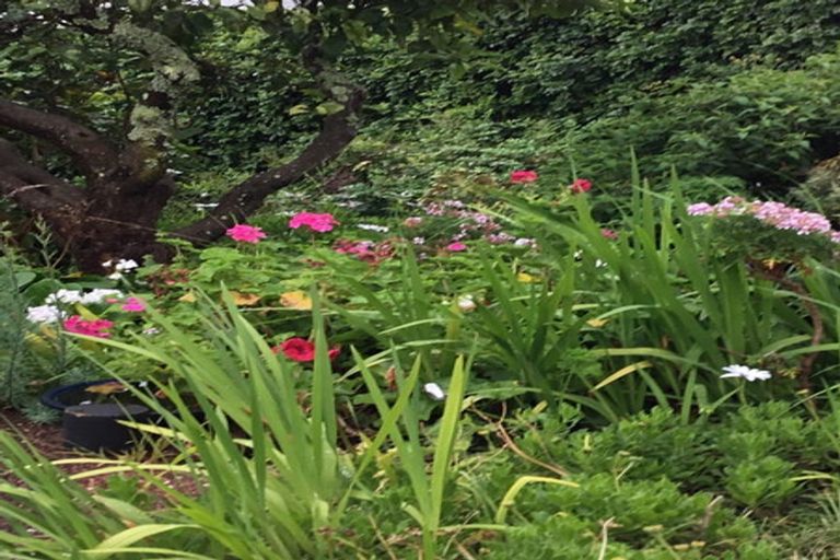 Photo of property in 38a Albert Road, Devonport, Auckland, 0624