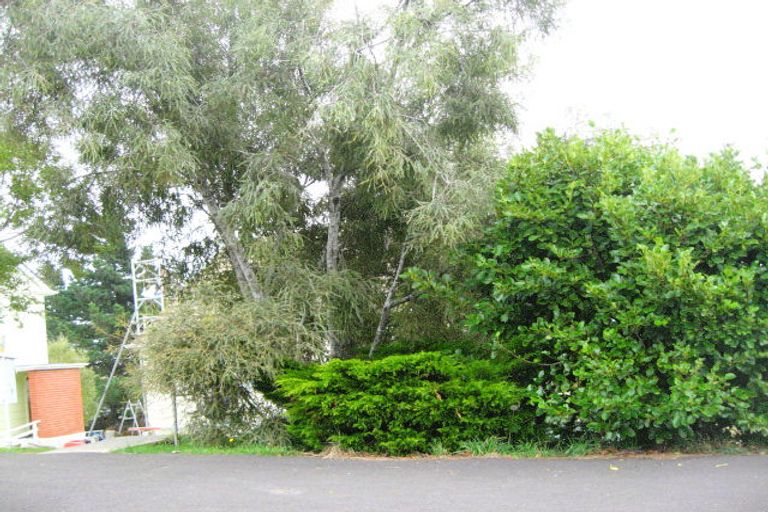 Photo of property in 38 Panmure Avenue, Calton Hill, Dunedin, 9012