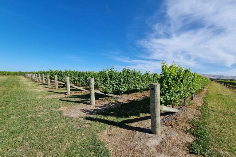 Photo of property in 344 Jones Road, Grovetown, Blenheim, 7273