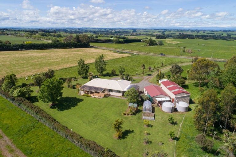 Photo of property in 271 Mount Stewart Halcombe Road, Sanson, Palmerston North, 4479