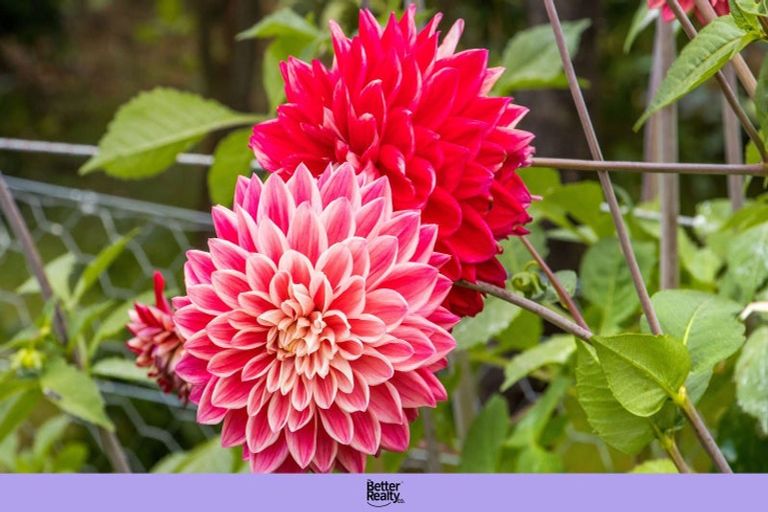 Photo of property in 10 Richmal Street, Waihi, 3610