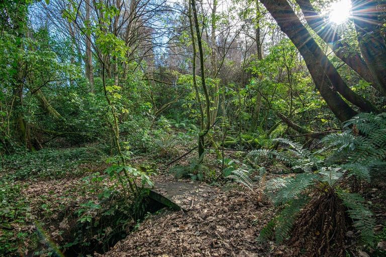 Photo of property in 32 Thomson Street, Lookout Point, Dunedin, 9011