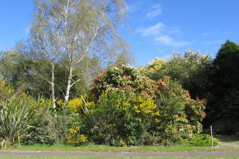 Photo of property in 38 Mahuta Road, Waitahanui, Taupo, 3378
