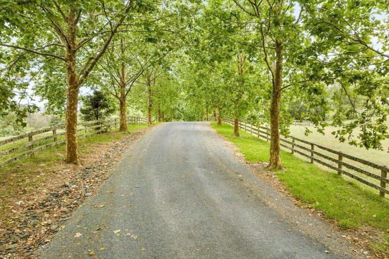 Photo of property in 31 Plane Tree Lane Lane, Ruatangata West, 0185