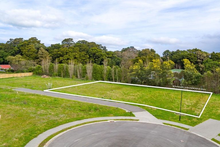 Photo of property in 45 Orchard Road, Greytown, 5712