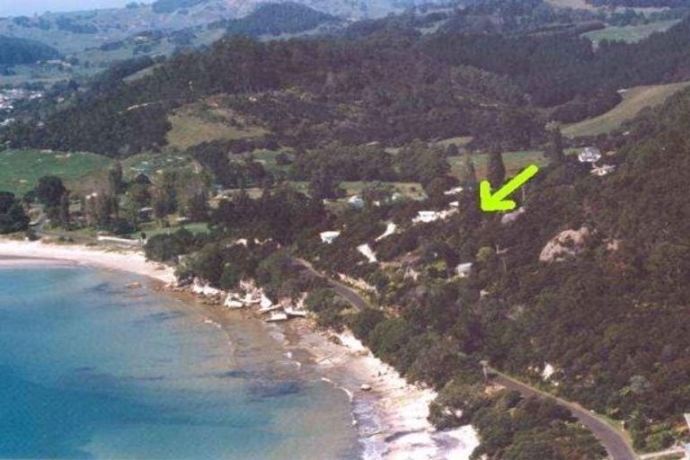 Photo of property in 1067 Purangi Road, Ferry Landing, Whitianga, 3591