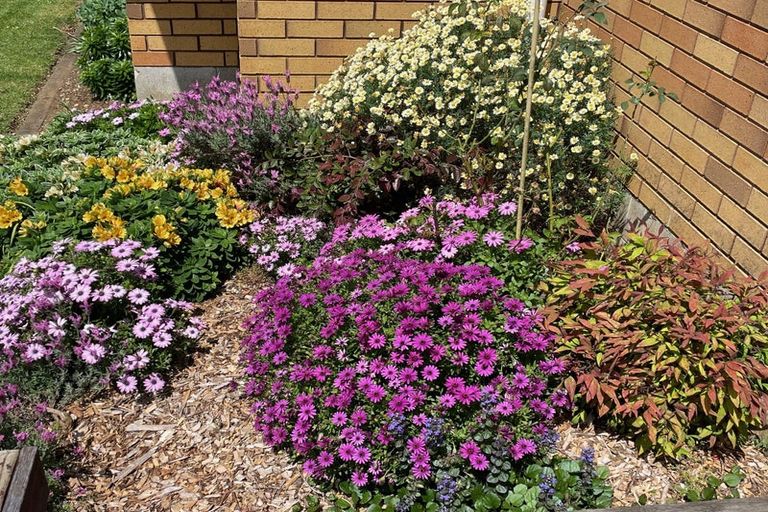 Photo of property in 27 Ridgeway Road, Pukekohe, 2120