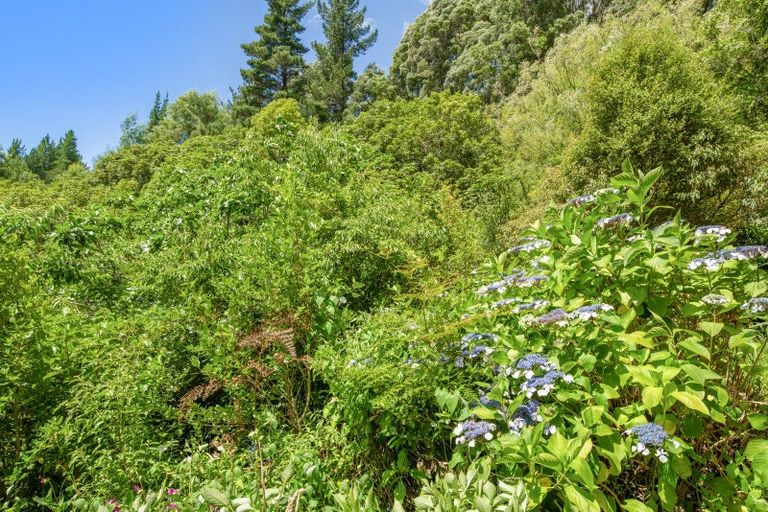 Photo of property in 1160 Wakamarina Road, Wakamarina, Havelock, 7178