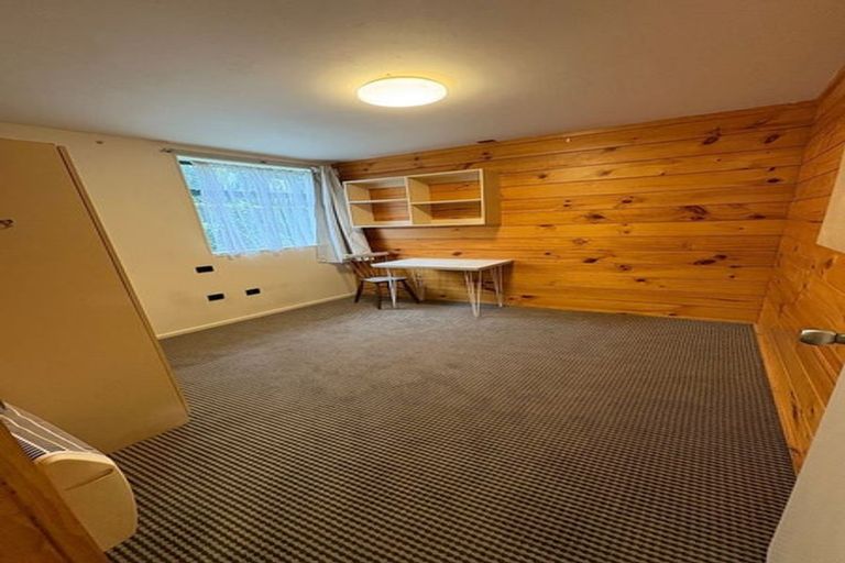 Photo of property in Te Awhina Apartments, 6/22 Sussex Street, Mount Cook, Wellington, 6021