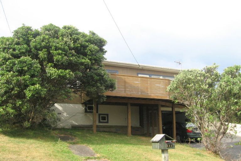 Photo of property in 111 Buckley Road, Southgate, Wellington, 6023
