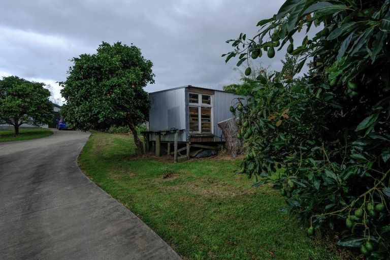 Photo of property in 7 Hyde Street, Katikati, 3129