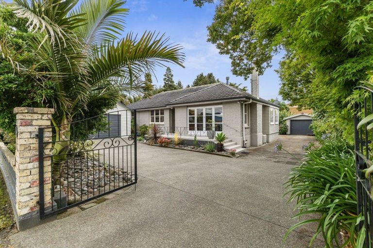 Photo of property in 19 Bailey Avenue, Claudelands, Hamilton, 3214