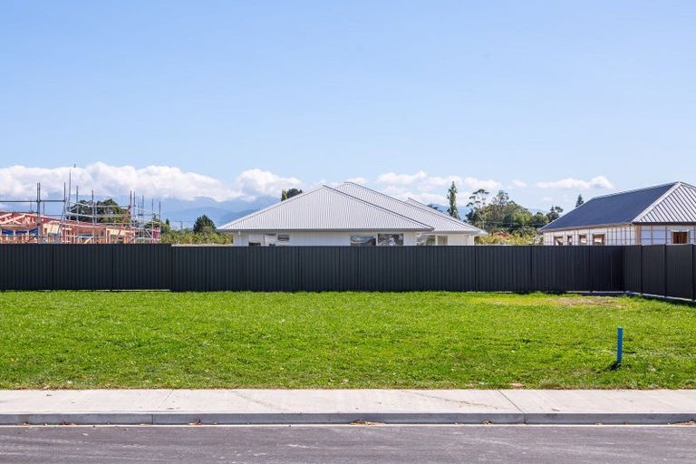 Photo of property in 8 Sir Brian Lochore Avenue, Masterton, 5810
