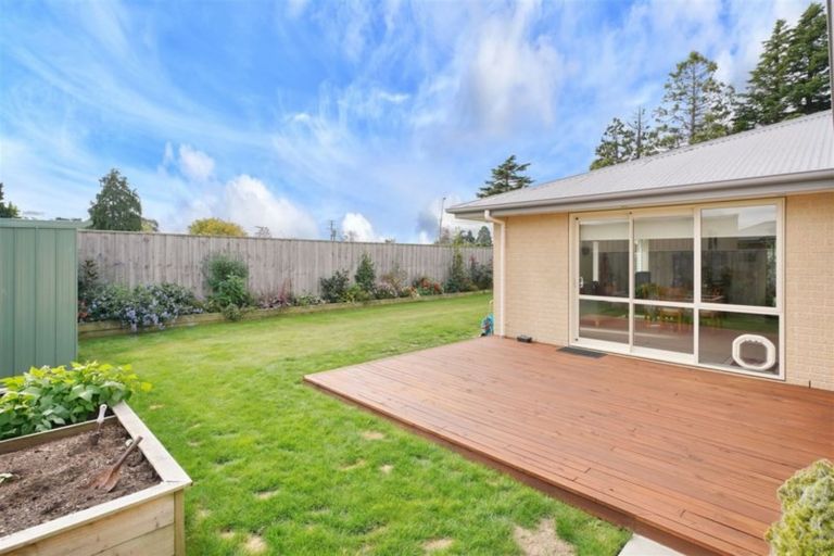 Photo of property in 147c Ashley Street, Rangiora, 7400