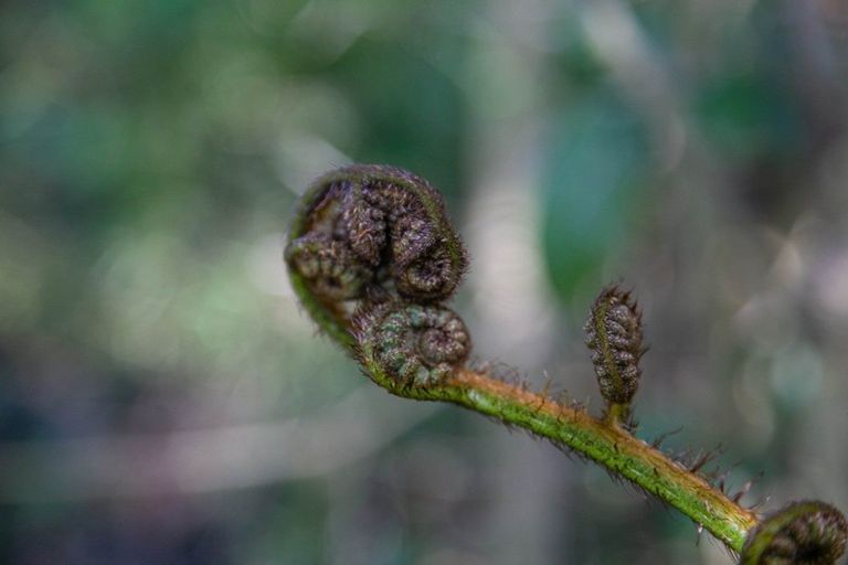 Photo of property in 668 Brunskill Road, Te Miro, Cambridge, 3496