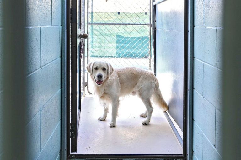 Photo of property in 207 Roberts Avenue, Aramoho, Whanganui, 4584