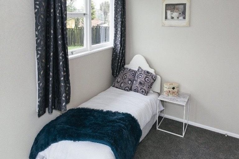 Photo of property in 17 The Drive, Brookfield, Tauranga, 3110