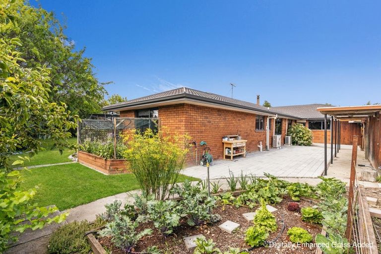 Photo of property in 7 Westhaven Place, Redwoodtown, Blenheim, 7201