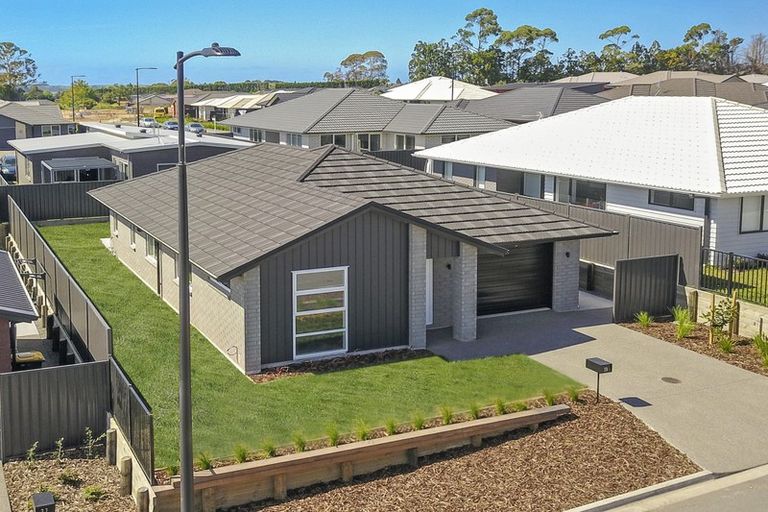 Photo of property in 20 Pioneer Crescent, Omokoroa, 3114