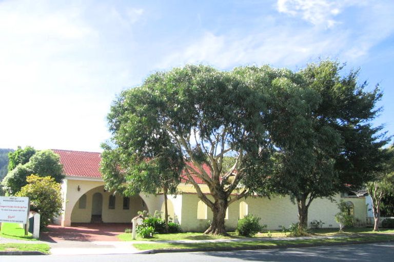 Photo of property in 88 Mcleod Street, Elderslea, Upper Hutt, 5018