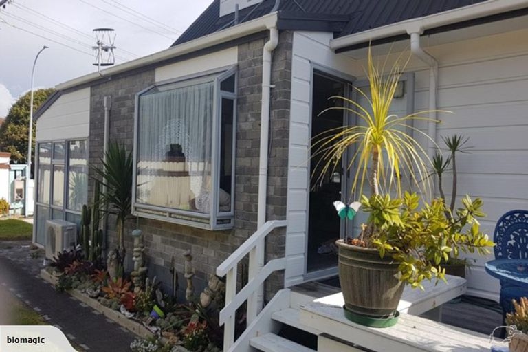 Photo of property in 19 Kaimanawa Street, Mount Maunganui, 3116