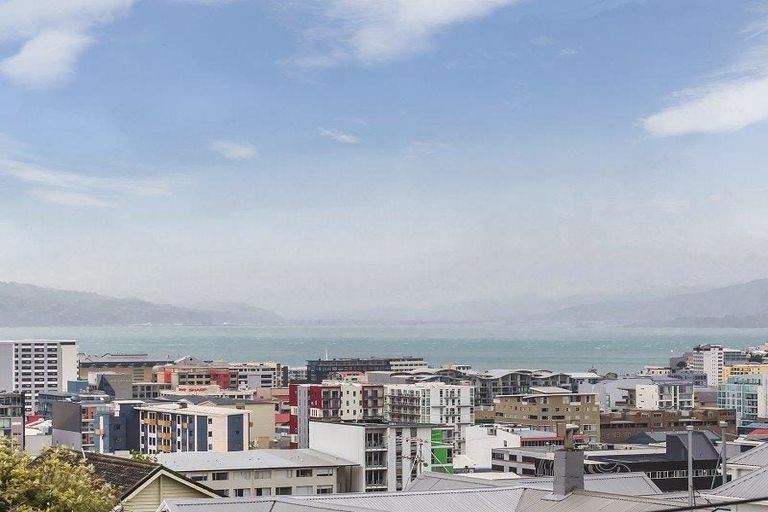 Photo of property in 66 Thompson Street, Mount Cook, Wellington, 6011