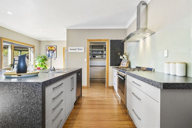 Photo of property in 11 Storey Avenue, Forest Lake, Hamilton, 3200