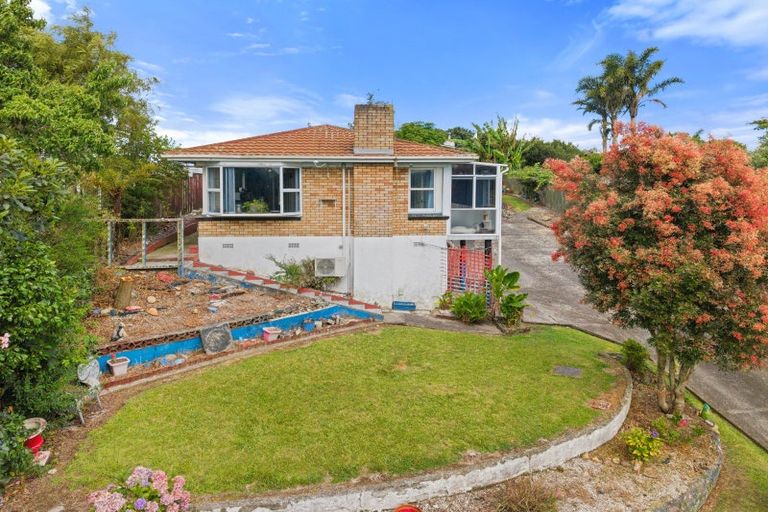 Photo of property in 19 Bledisloe Avenue, Putaruru, 3411