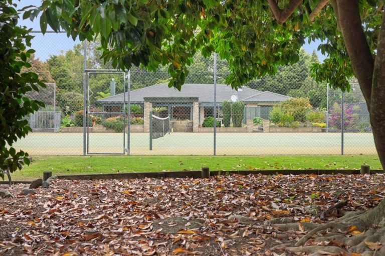 Photo of property in 74 Raukawa Drive, Bethlehem, Tauranga, 3110