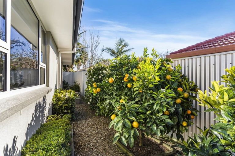 Photo of property in 5 Montego Drive, Papamoa Beach, Papamoa, 3118