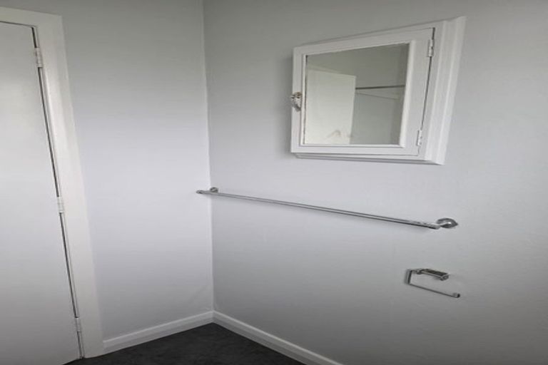 Photo of property in 195 Nikau Street, Saint Leonards, Hastings, 4120