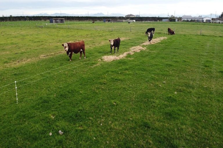 Photo of property in 10 Russells Road, Eiffelton, Ashburton, 7774