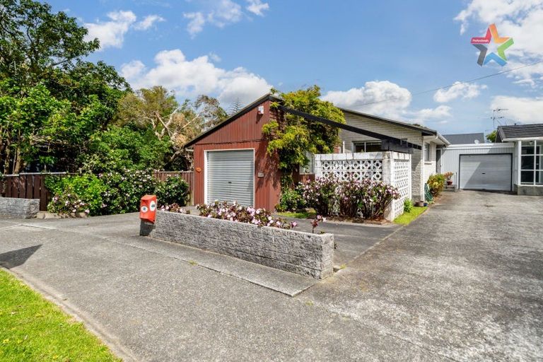Photo of property in 48 Kings Crescent, Hutt Central, Lower Hutt, 5010