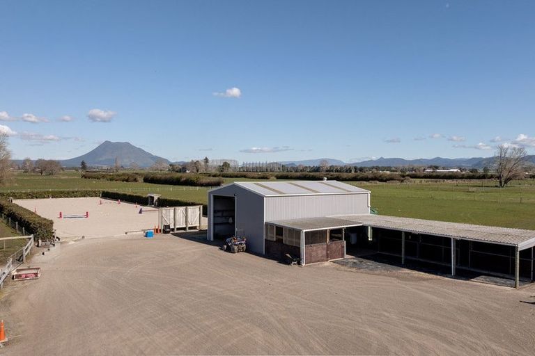 Photo of property in 84 Grieve Road, Otakiri, Whakatane, 3193