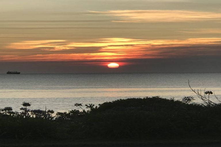 Photo of property in 223 Whirinaki Road, Eskdale, Napier, 4182