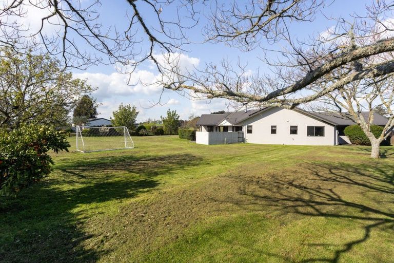 Photo of property in 317b Inglefield Street, Pirongia, Te Awamutu, 3876