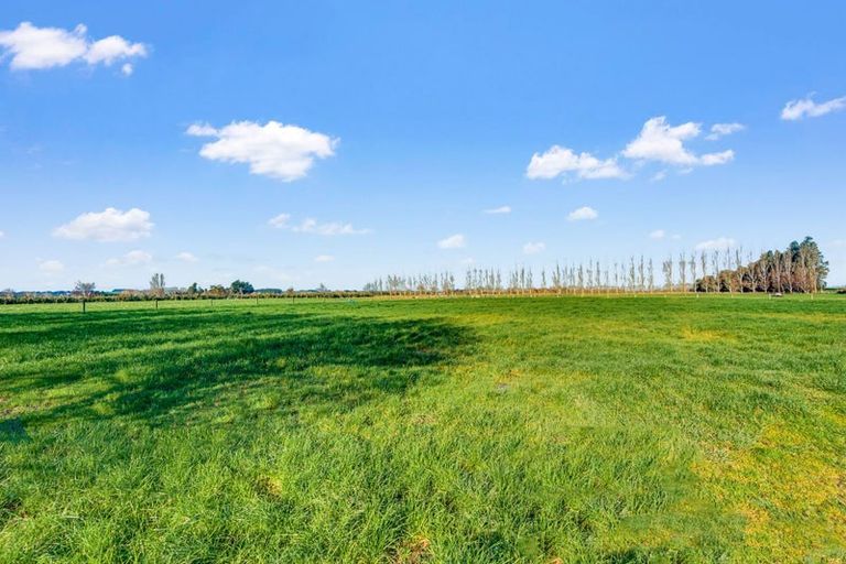Photo of property in 217 Wilsons Crossing Road, Tussock Creek, Winton, 9781