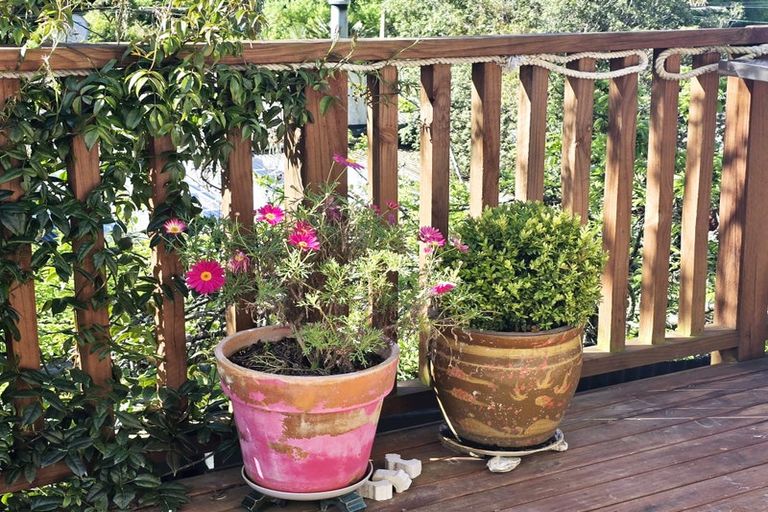 Photo of property in 86 Scotland Street, Picton, 7220