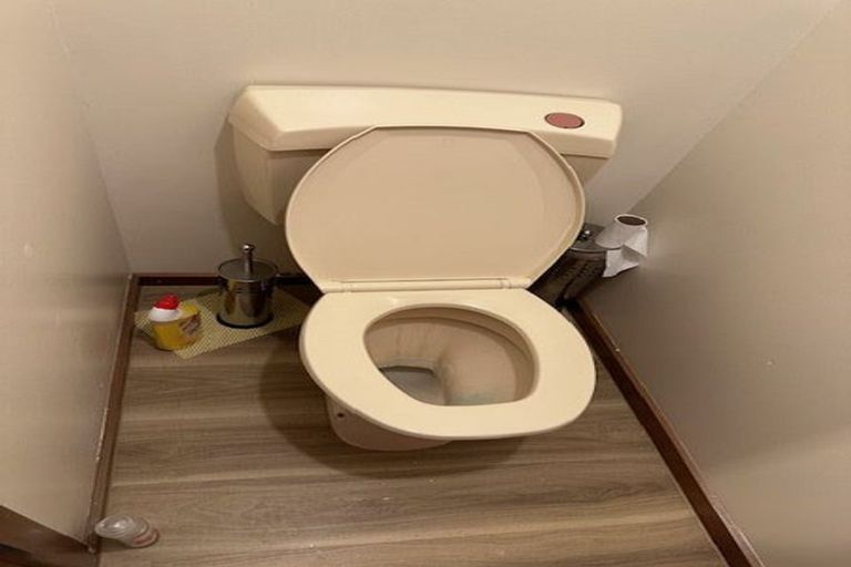 Photo of property in 40 Ariel Street, Stratford, 4332