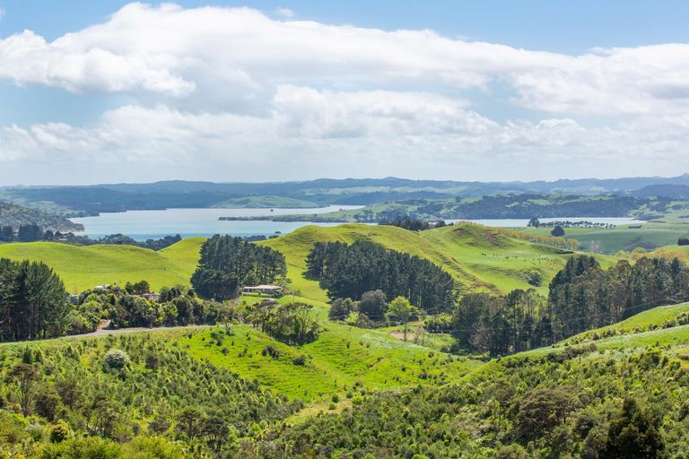 Photo of property in 12a Somerset Lane, Raglan, 3295