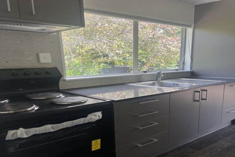 Photo of property in 9 Bishop Street, Green Bay, Auckland, 0604