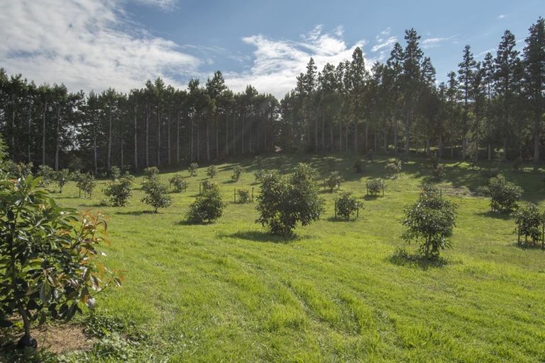 Photo of property in 109a Plummer Road, Whakamarama, Tauranga, 3179