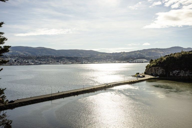 Photo of property in 93 Moana Crescent, Musselburgh, Dunedin, 9013