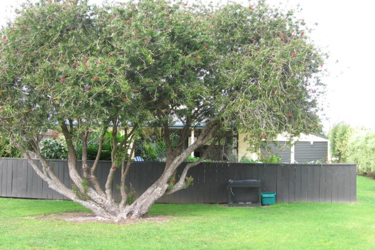 Photo of property in 12 Dawn Avenue, Hahei, Whitianga, 3591